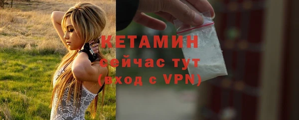 прущие грибы Протвино
