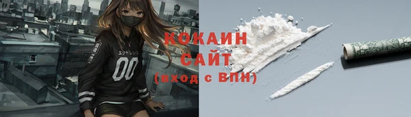 индика Приозерск