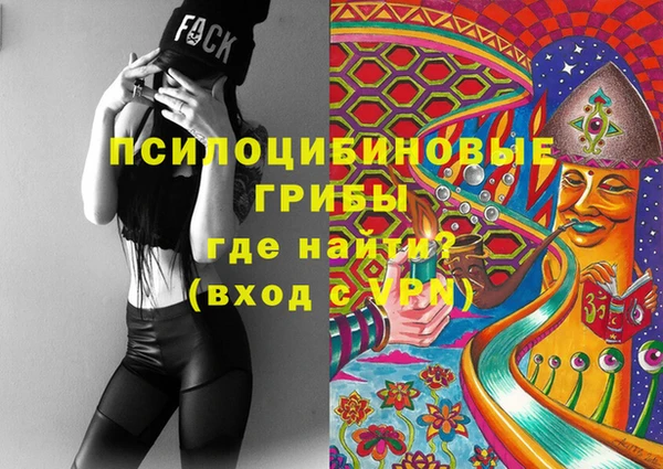 не бодяженный Алексин