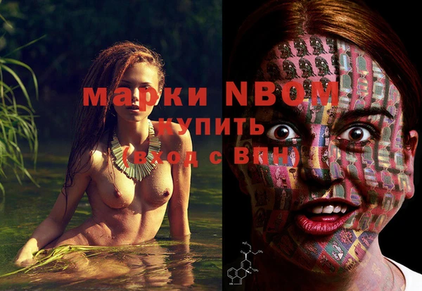 прущие грибы Протвино