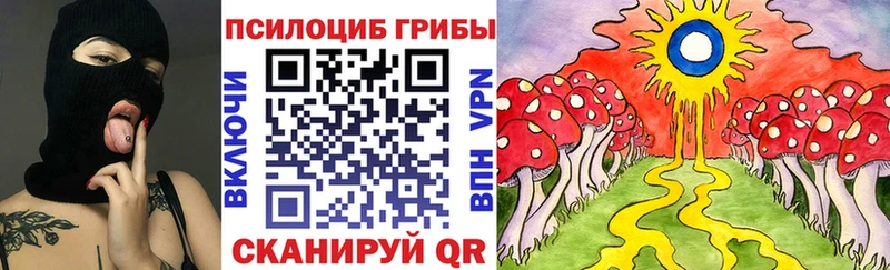 hydra   дарк нет формула  Псилоцибиновые грибы Psilocybe  Чайковский 
